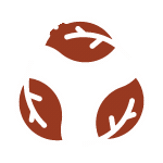 Compostable Eco-friendly Disposable Takeaway Packaging Distributer Australia