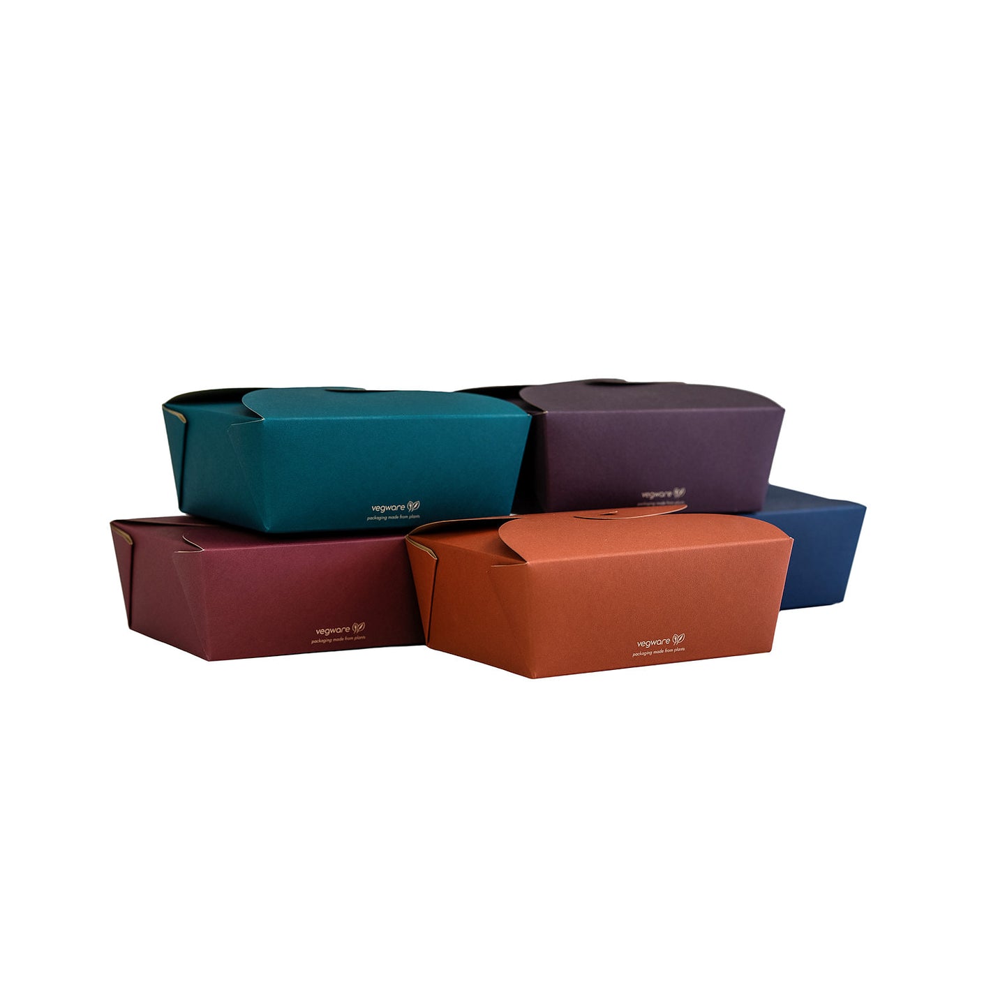 Feel Snug Medium Lunch Box 1200ml (15 x 12 x 6.5cm) - Image #1