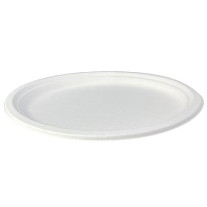 Oval Plate Large 12.5 x 10" (32 x 25cm) - PFAS Free White - Sugarcane