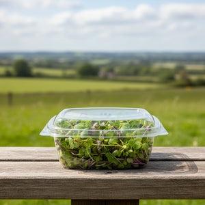 24oz (750ml) Rectangular Hinged Container/Clamshell - PET Clear